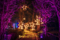 Christmas Garden Deutschland 15% Rabatt