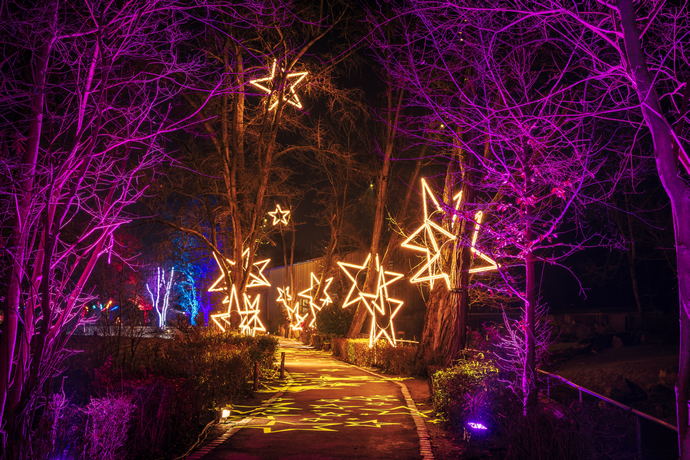 Christmas Garden Deutschland 15% Rabatt