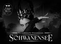 Schwanensee Grand Classic Ballet 45% Rabatt PK 1-3