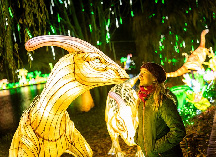 Serengeti-Park Lichterfestival 15% Rabatt
